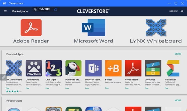 Cleverstore1